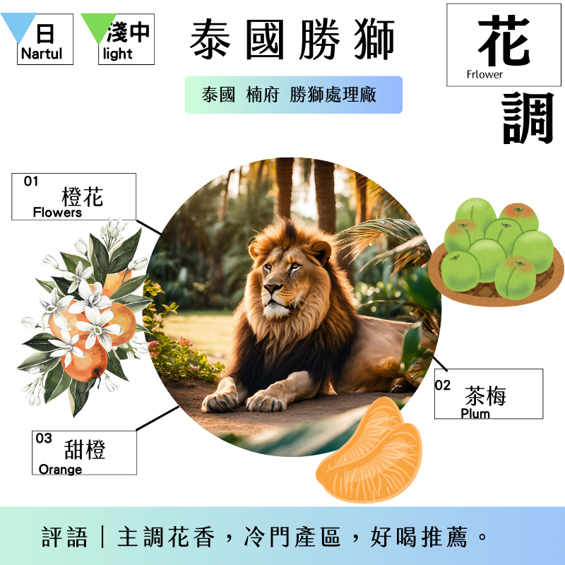 ＮＥＷ！花香調｜泰果勝獅｜泰國 楠府 勝獅處理廠 日曬