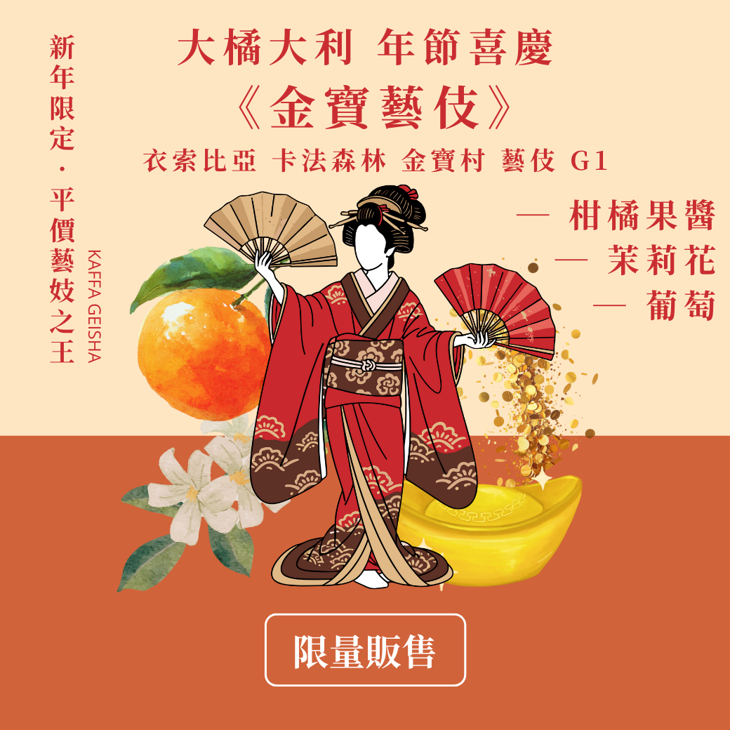 【平價藝伎之王】金寶藝伎 日曬 🍊  高CP值藝伎首選