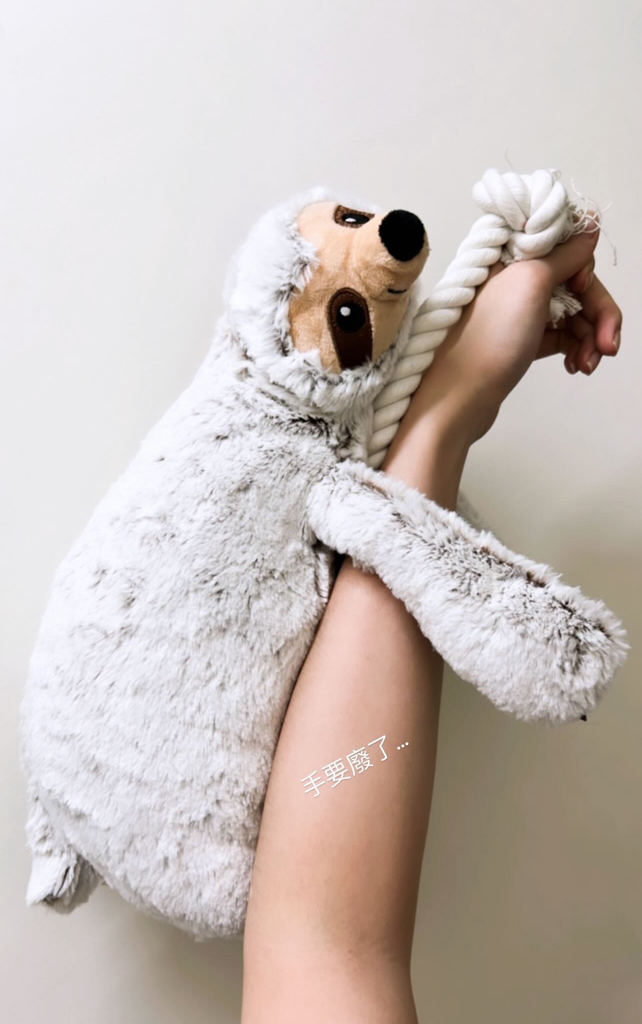 50cm肥嫩繩結樹懶🦥 毛很舒服 身體有啾啾
