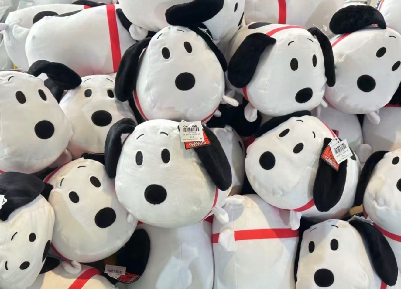 snoopy胖瓦斯罐 裡面有大啾啾 可以當枕頭也可以當玩具