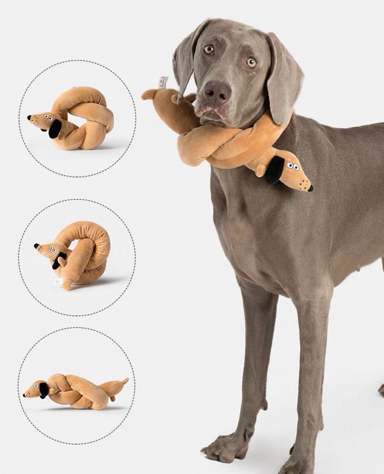 點圖看更多 100cm臘腸 耳朵響紙 身體有三個地方有啾啾 可以當圍巾