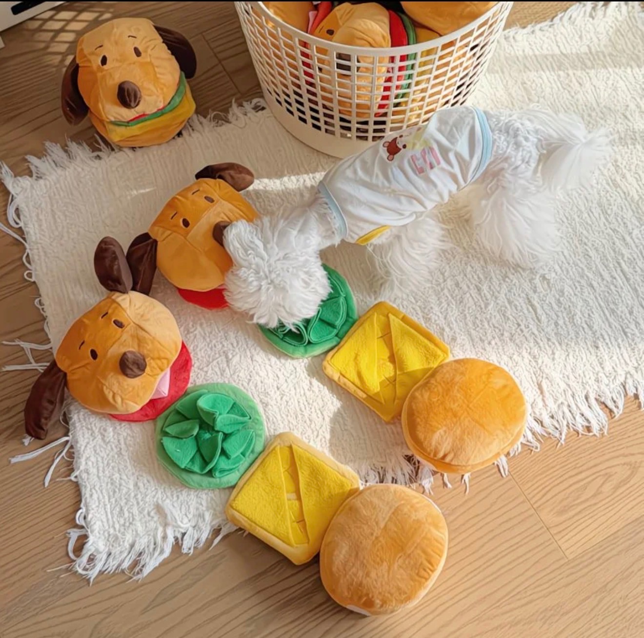 藏食嗅聞漢堡包 點圖看更多