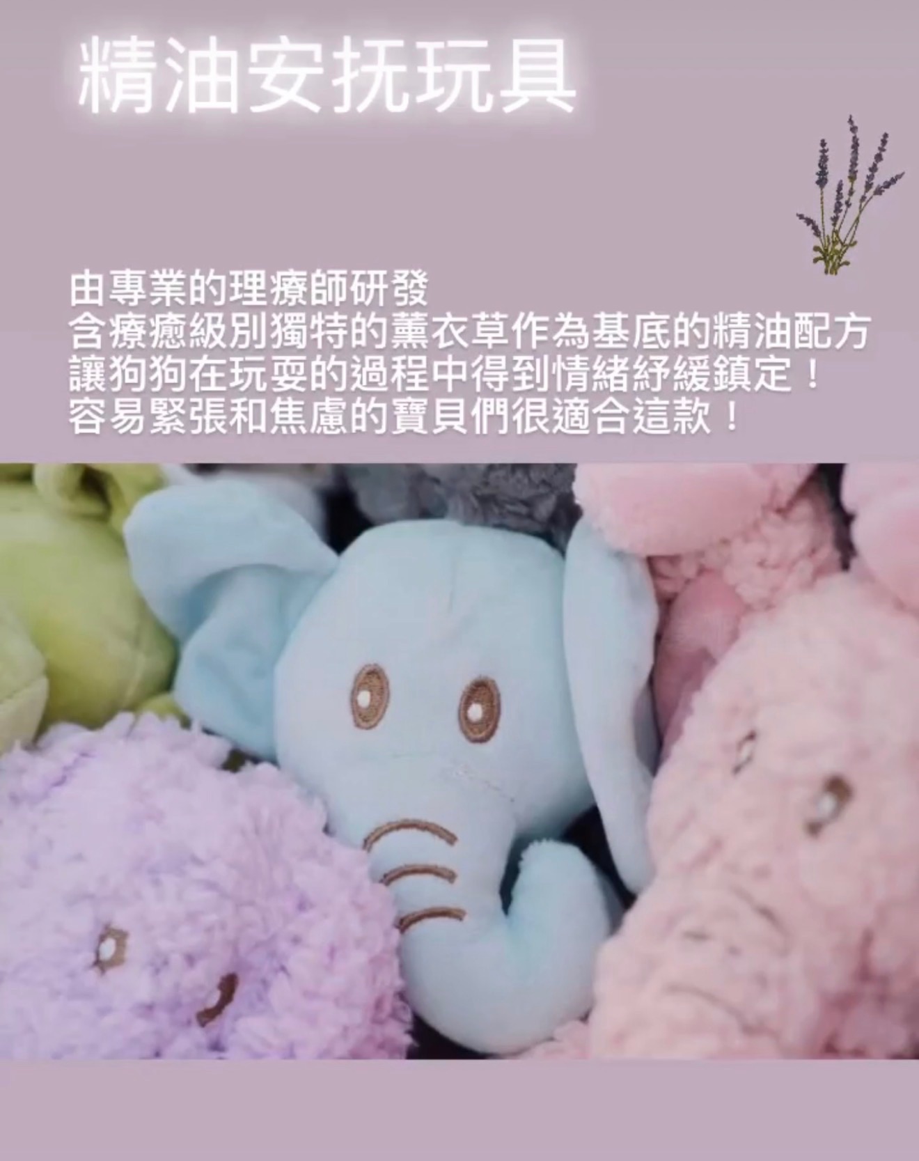 點圖看更多 天然精油安撫玩具 淡淡的味道 鎮定緩解緊張