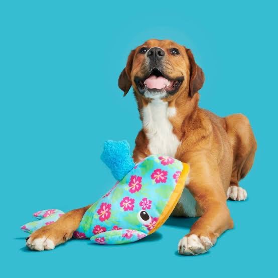 🇺🇸BARK巨無霸HAWAIIAN🐷豬叫鯨魚 點圖看更多