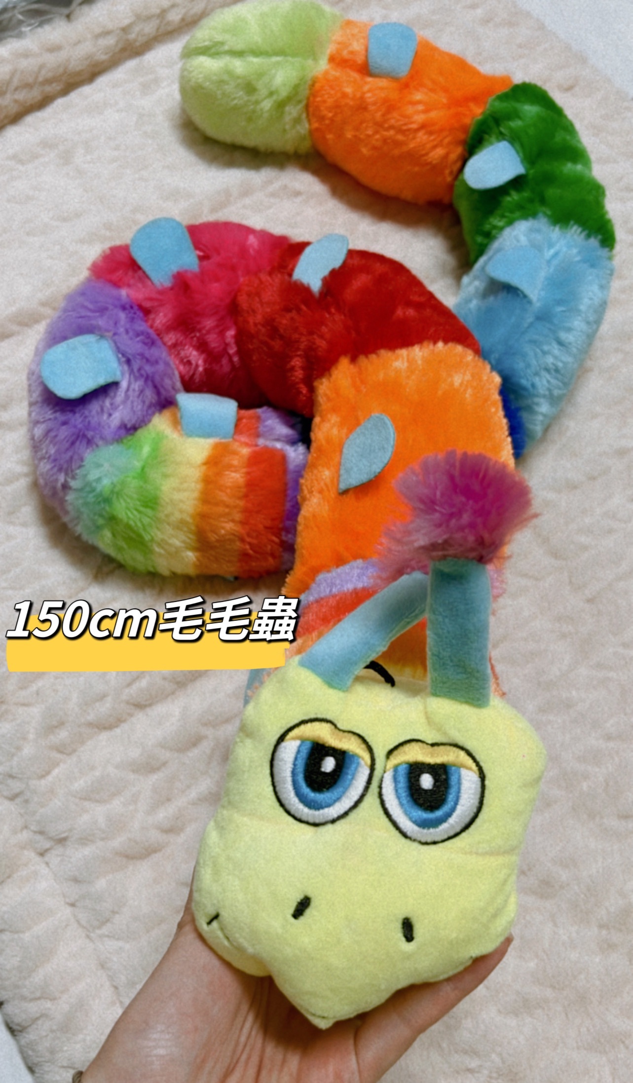 150cm毛毛蟲 長到可以當圍巾🧣 拔河不怕咬到手了