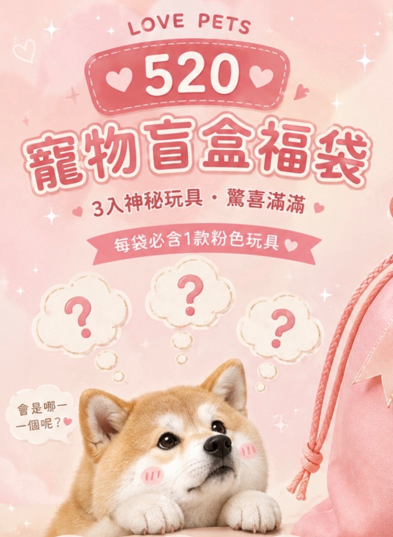 🩷520限定3入福袋  三個中會有一個粉色玩具 沒有那種mini玩具