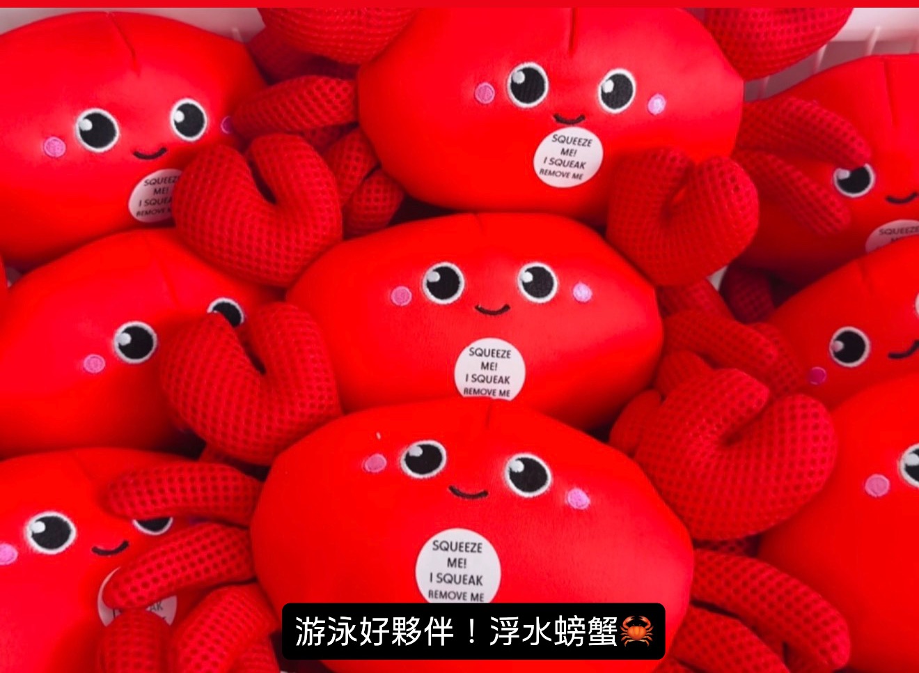 anko 游泳好夥伴 浮水螃蟹🦀 小章魚🐙