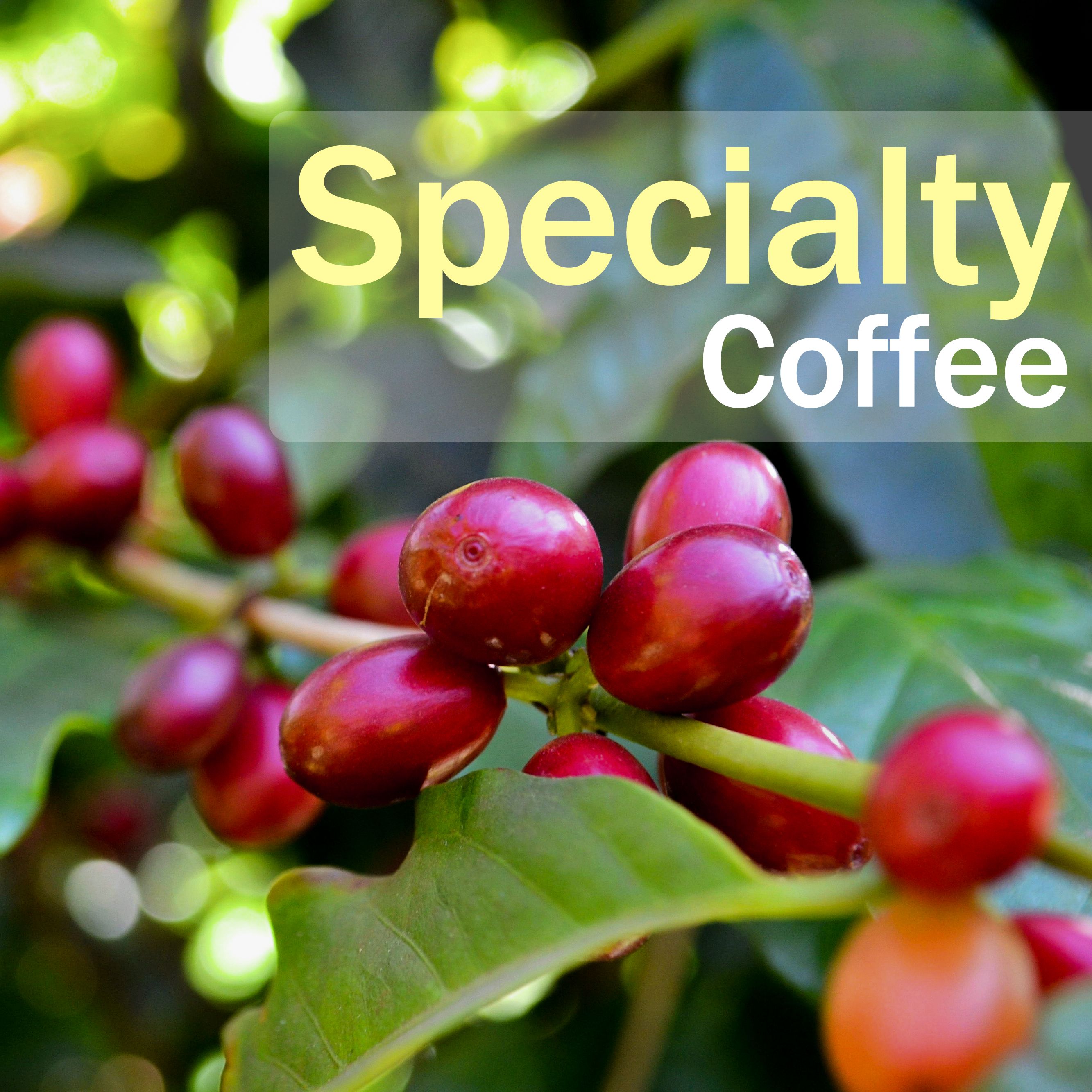 Mia Coffee Roaster 精品咖啡