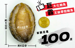 【太后呷】霸王級鉑金鮑單顆裝100g