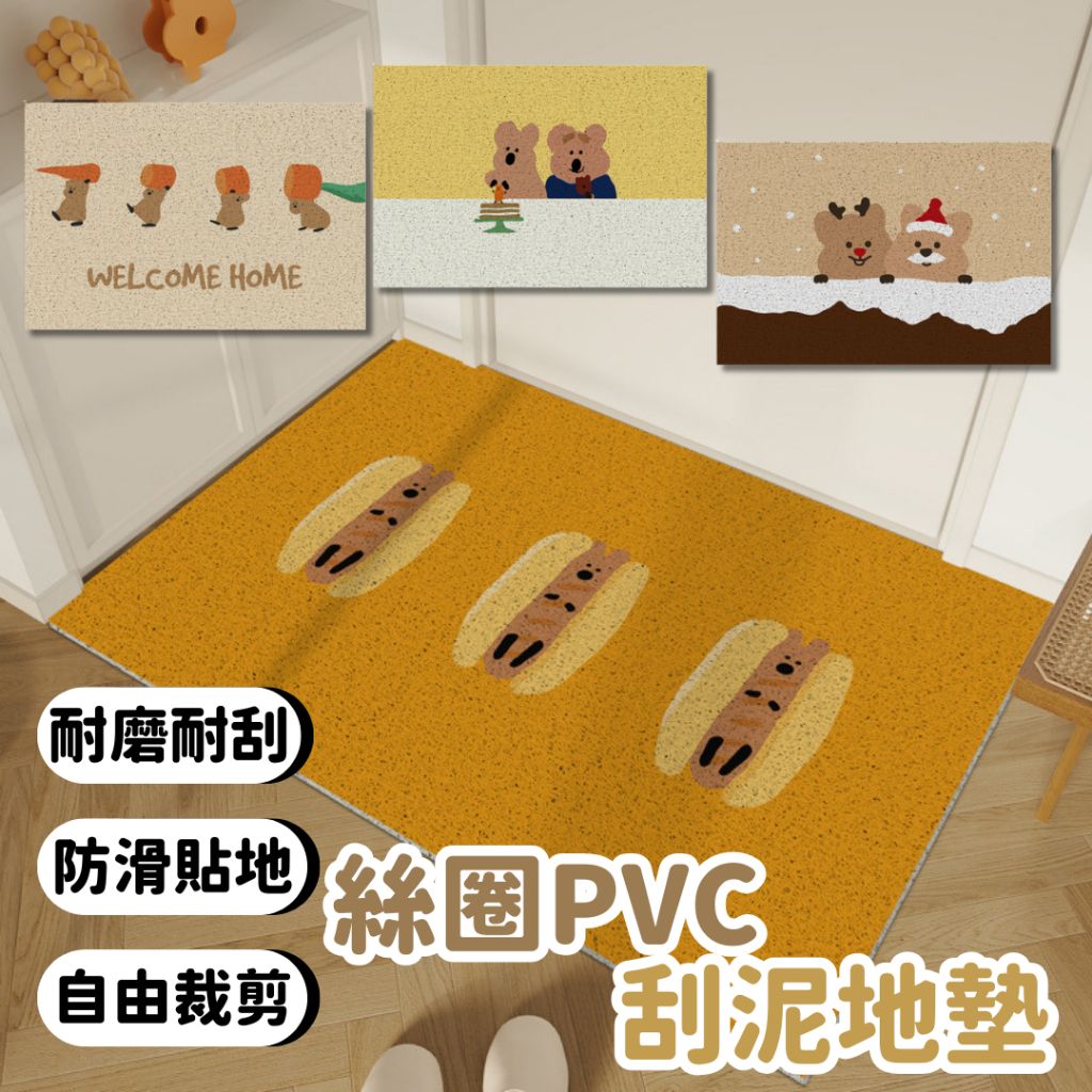 刮泥地墊 地毯 PVC 絲圈地墊 40*60cm