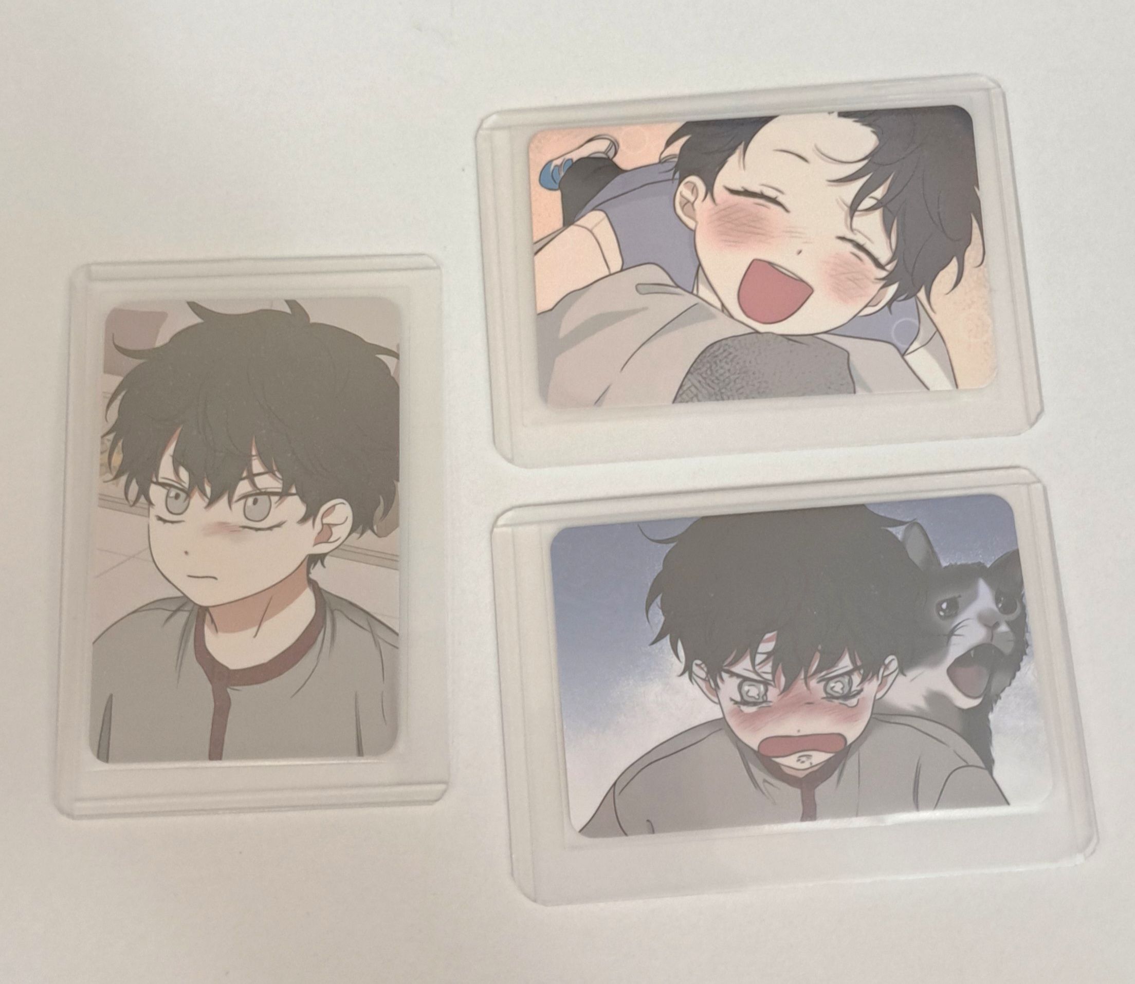 toast限定下標 水邊之夜 卡 懿寧三張一組