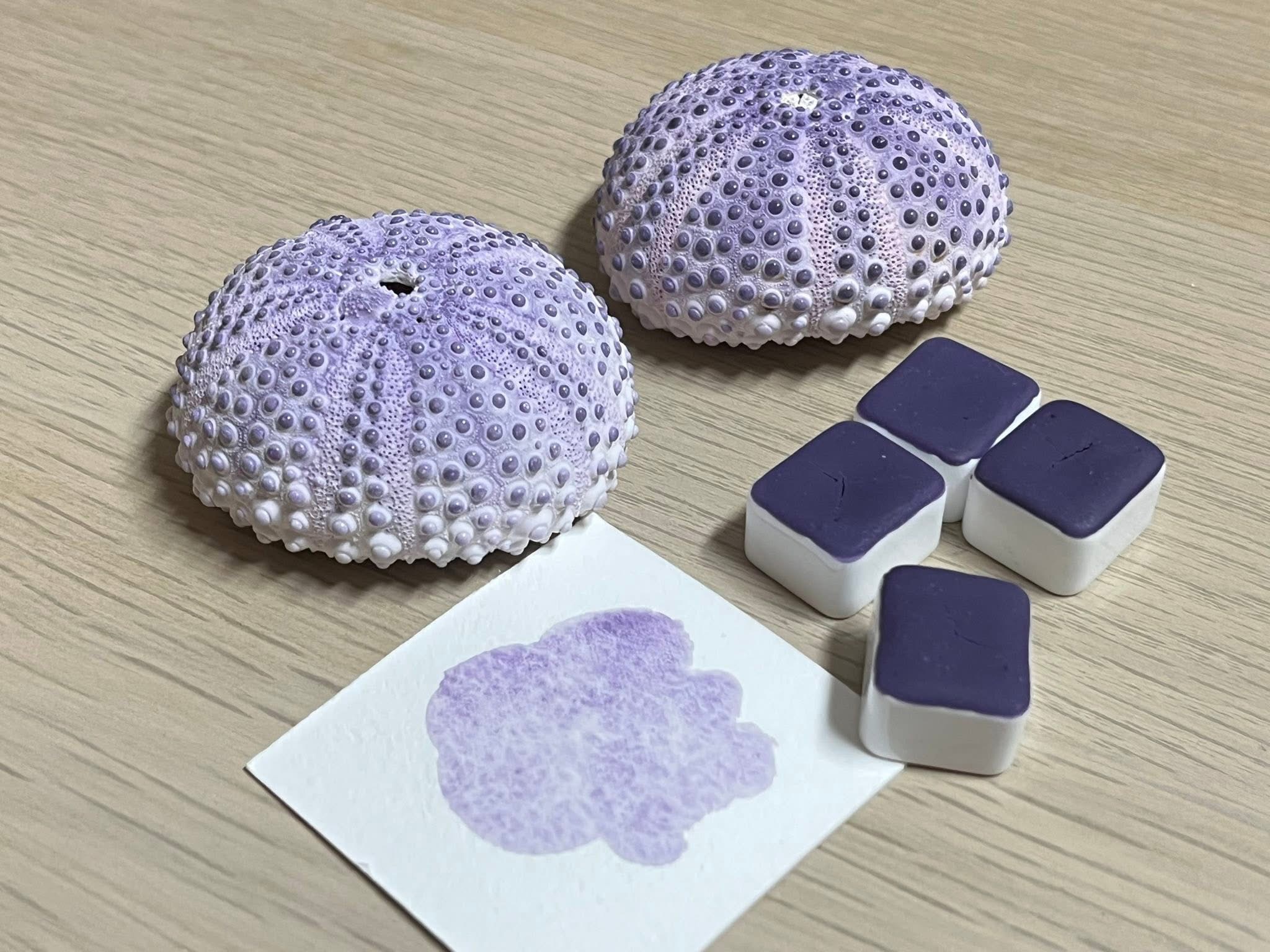 海膽紫 手工顏料