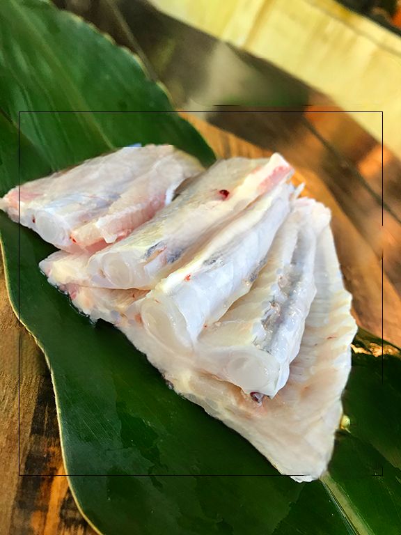 生鮮鱘龍魚-純鱘龍魚中骨