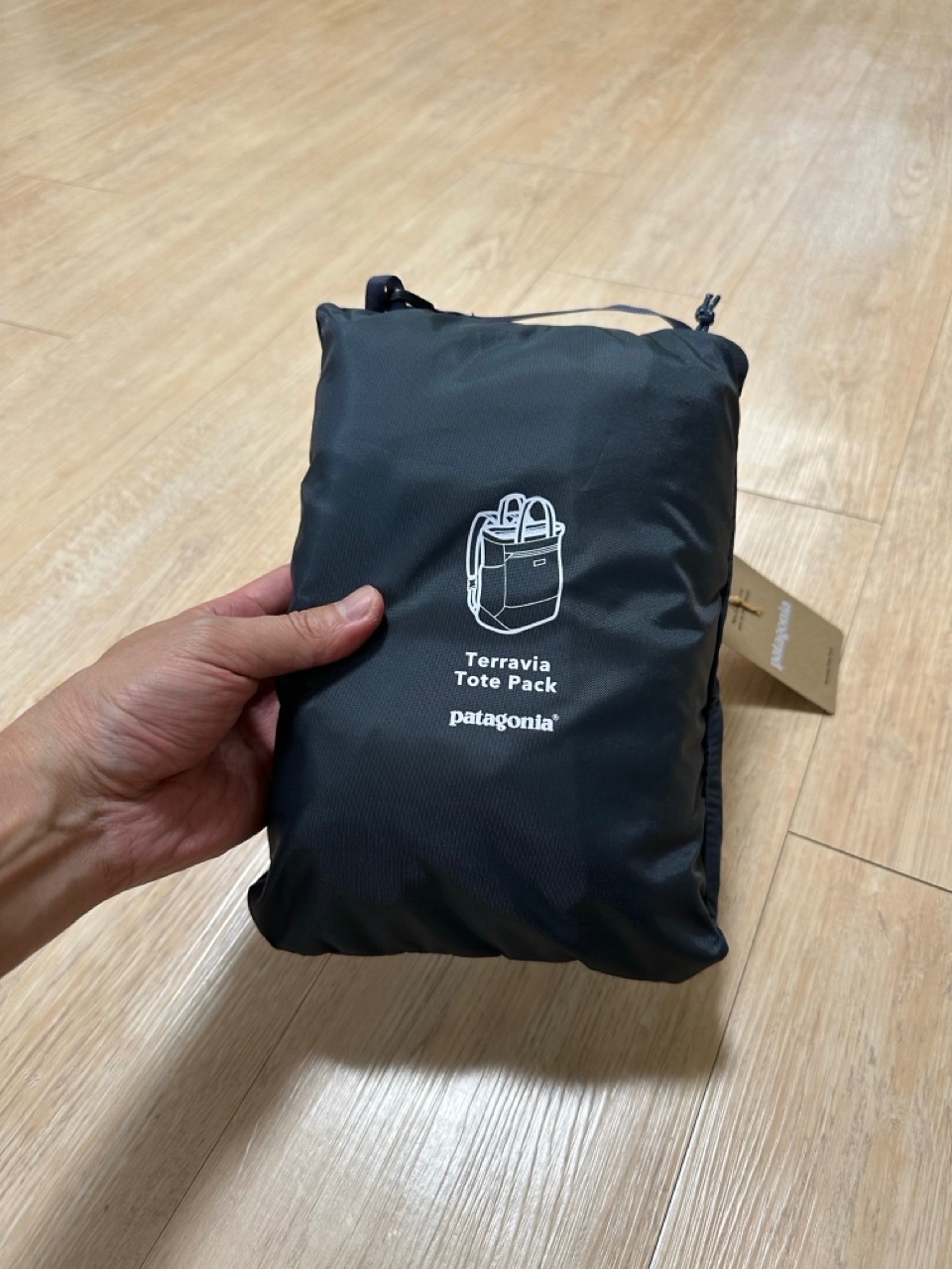 Patagonia Terravia Tote Pack 兩用包