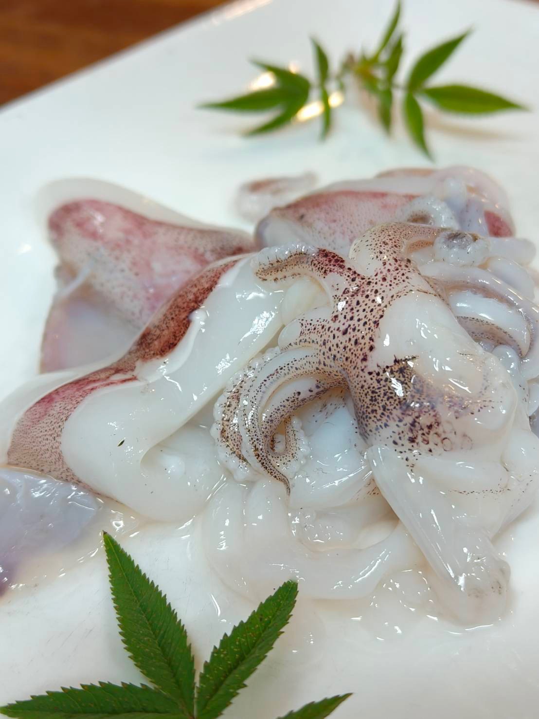 『獨食』漁船現撈鮮凍小卷圈