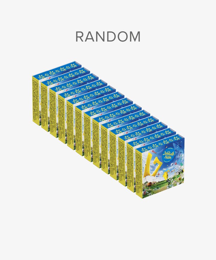 現貨 迷11克拉盤 *沒下單紙箱會使用破壞帶出貨