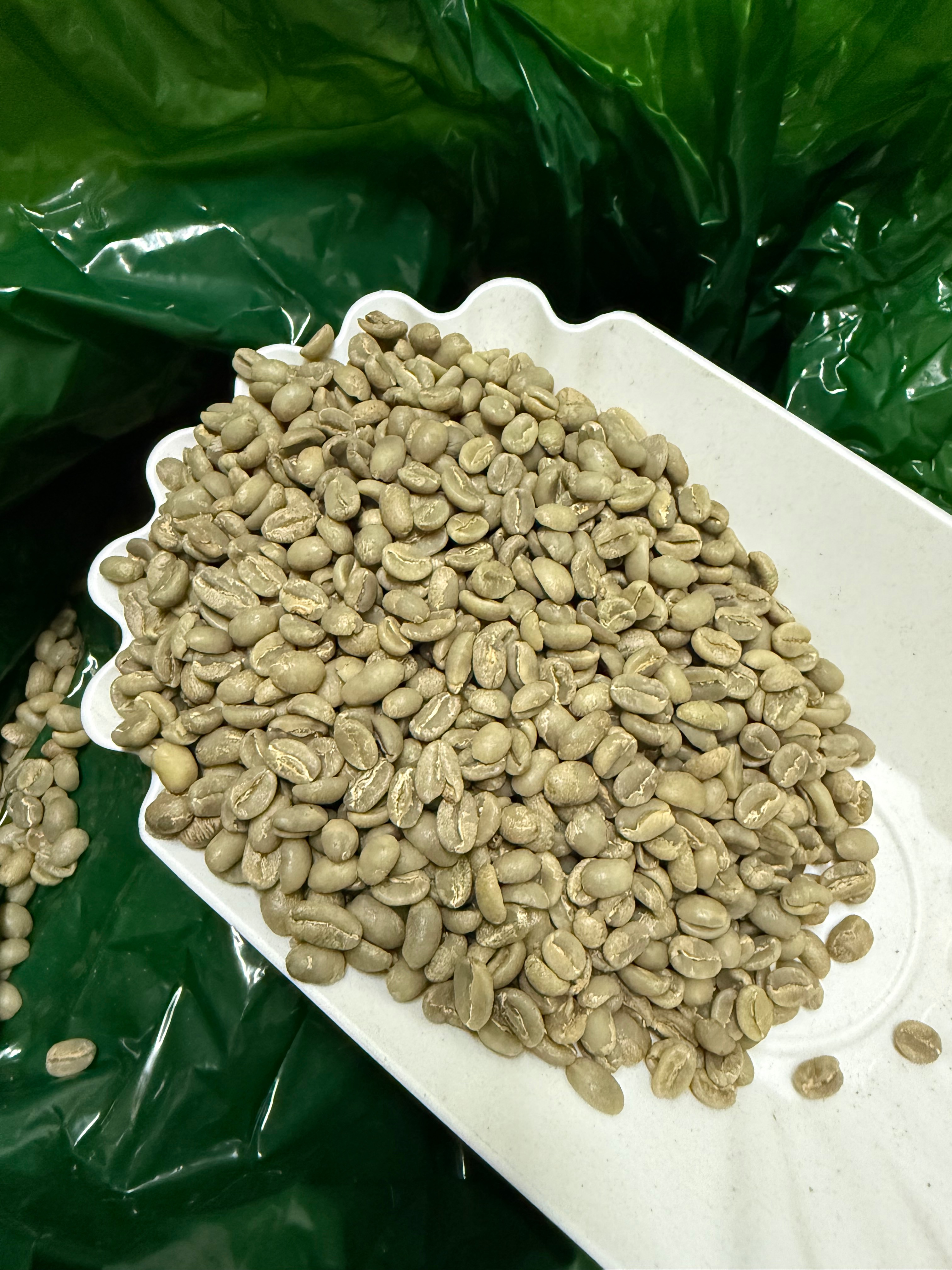 衣索比亞 耶加雪菲 艾瑞加G2