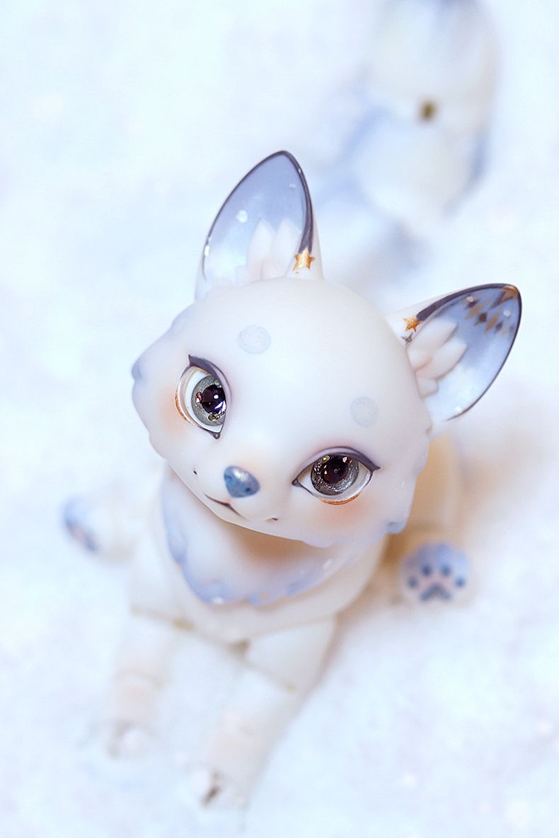 DOLK×BLACK BOX 雪見MOCHI