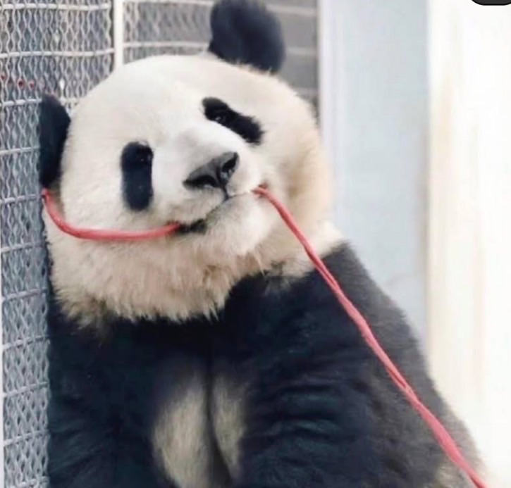 請下單～