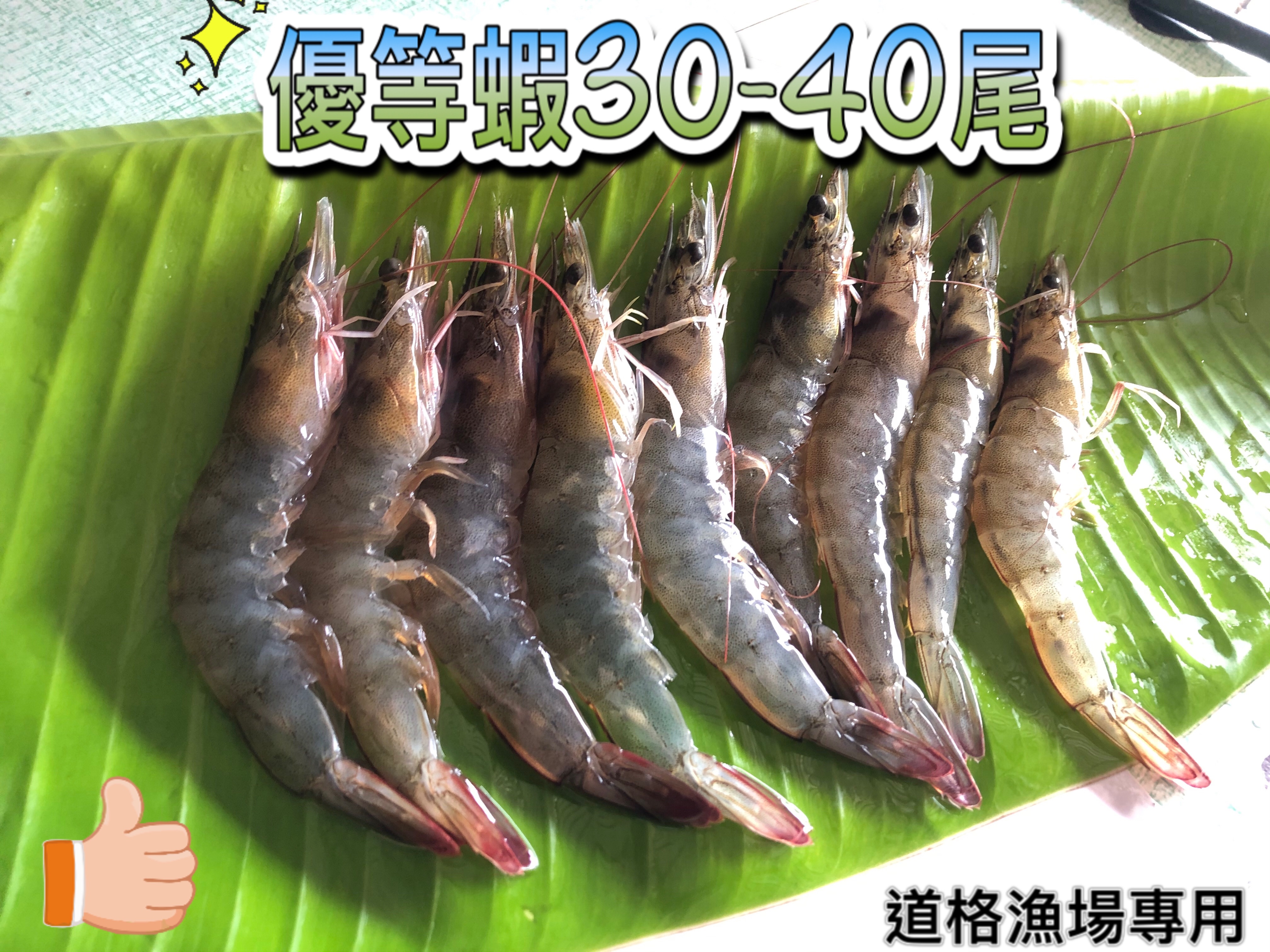 優等蝦（約35尾/斤）