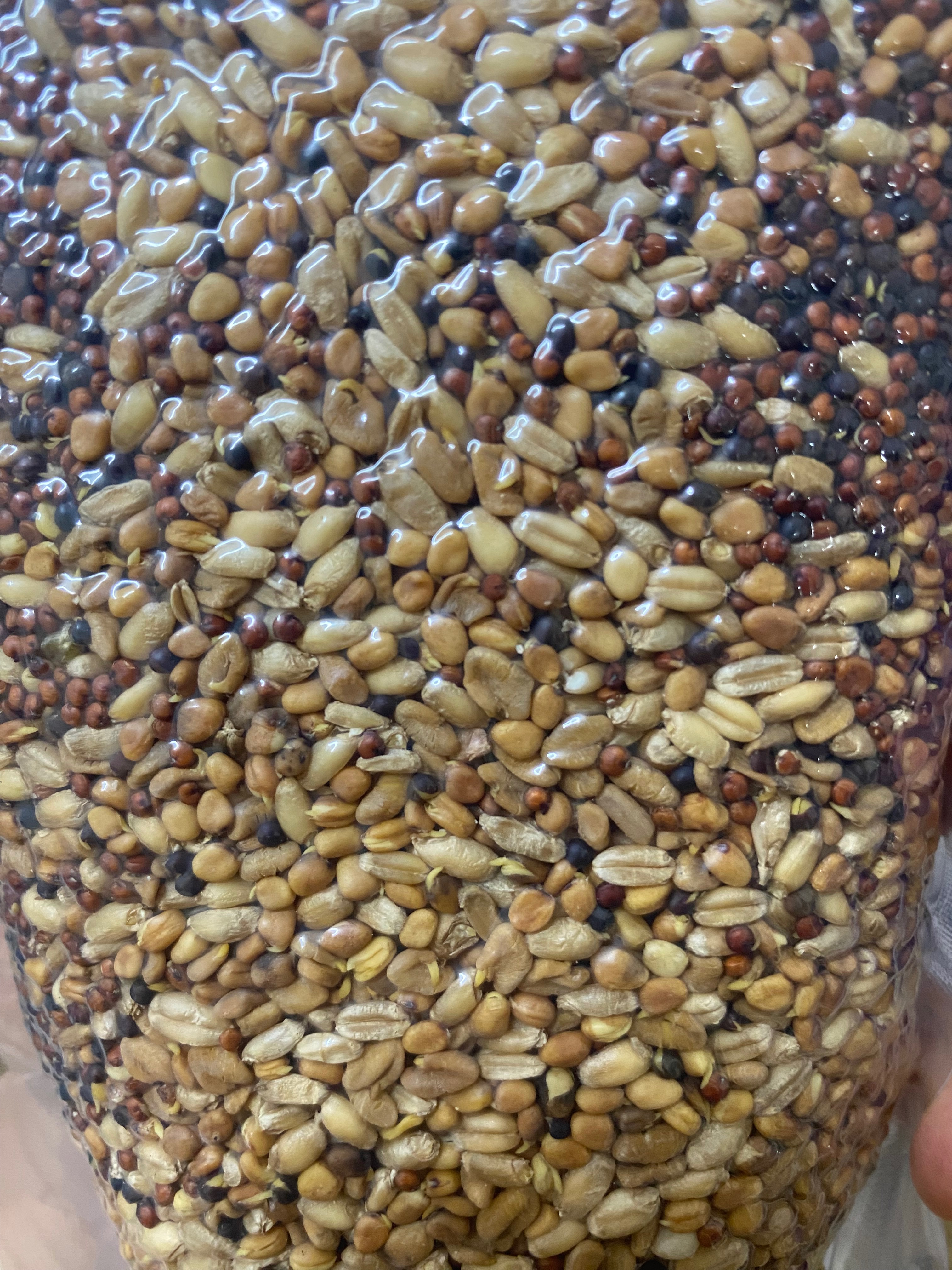發芽豆漿自選區