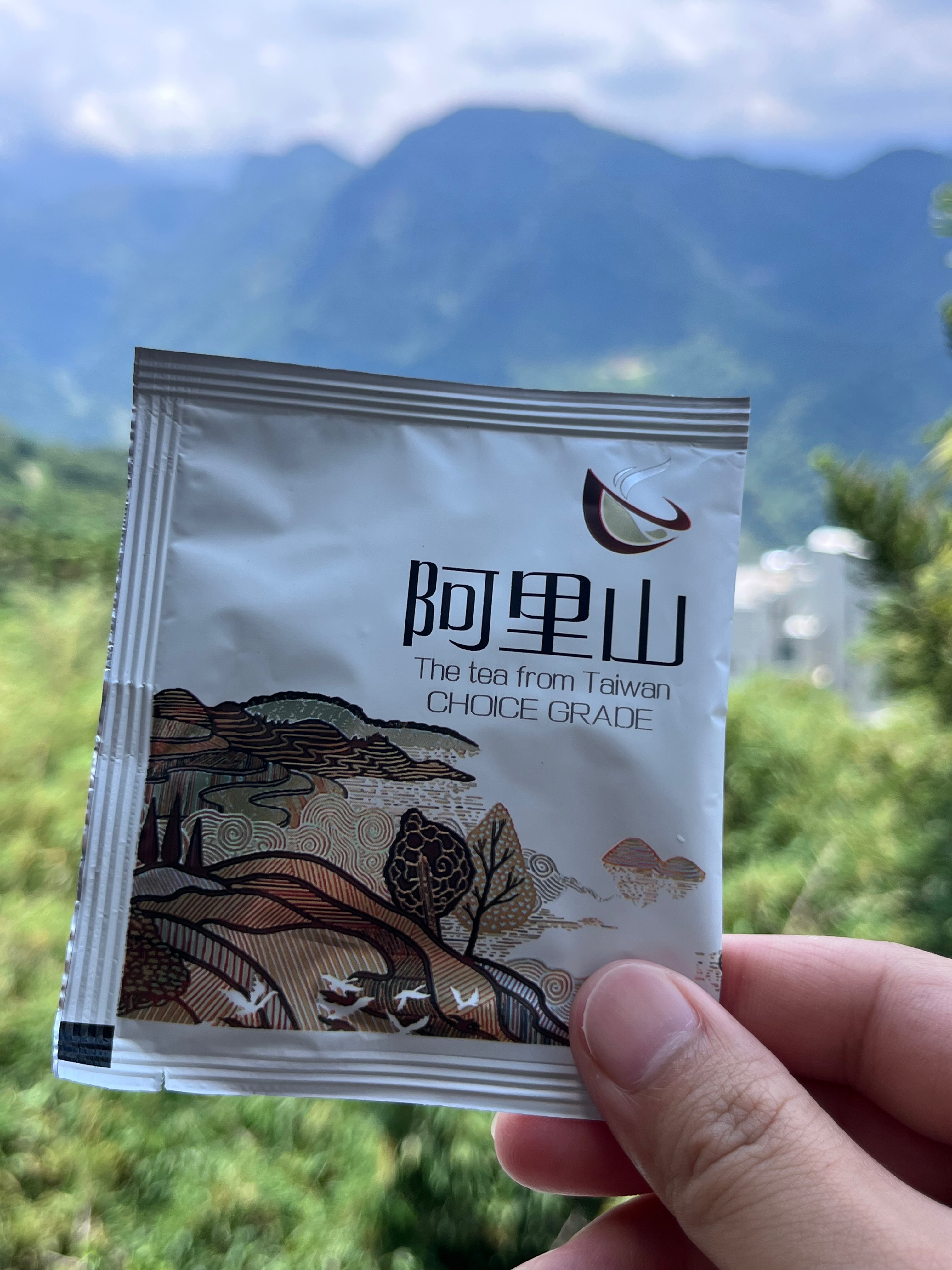 超人氣立體茶包（冷泡、熱泡）都好喝