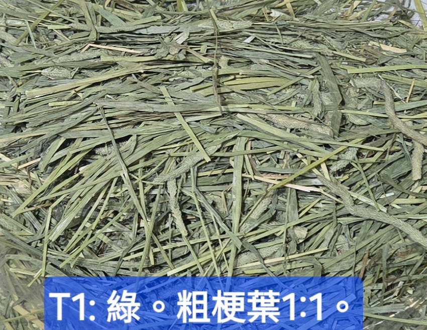 提摩喔試吃包下標區