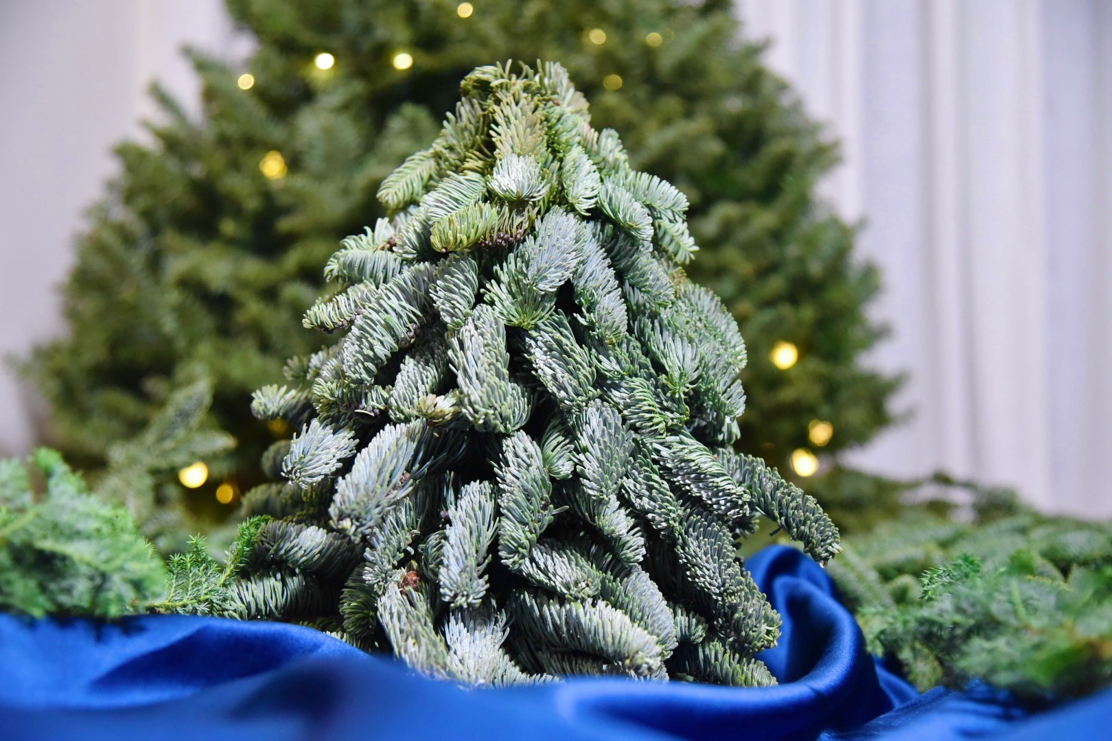 【手作花束及小聖誕樹】使用新鮮進口諾貝松 限量接單訂製（點照片看商品敘述）