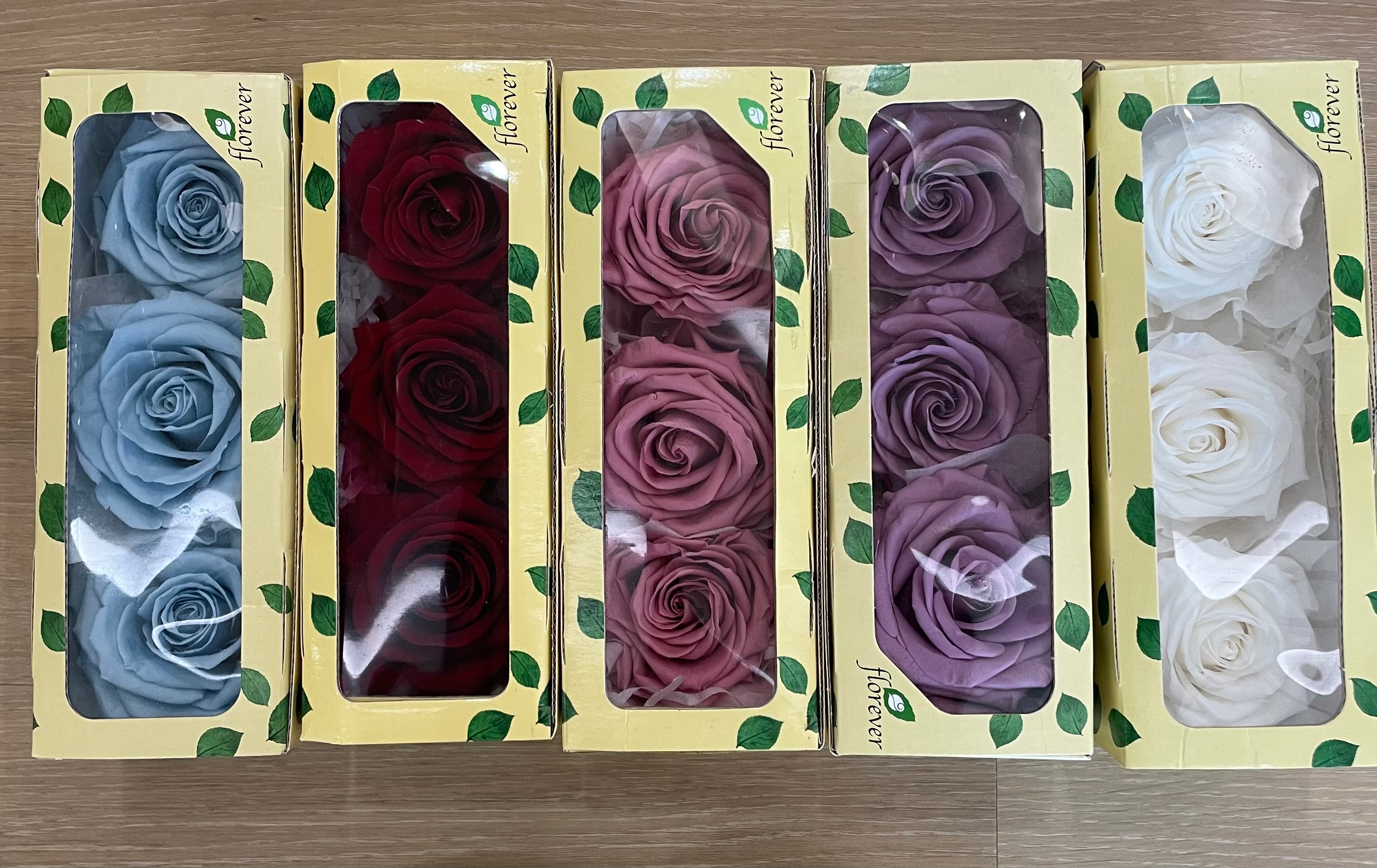 Florever永生花-3輪