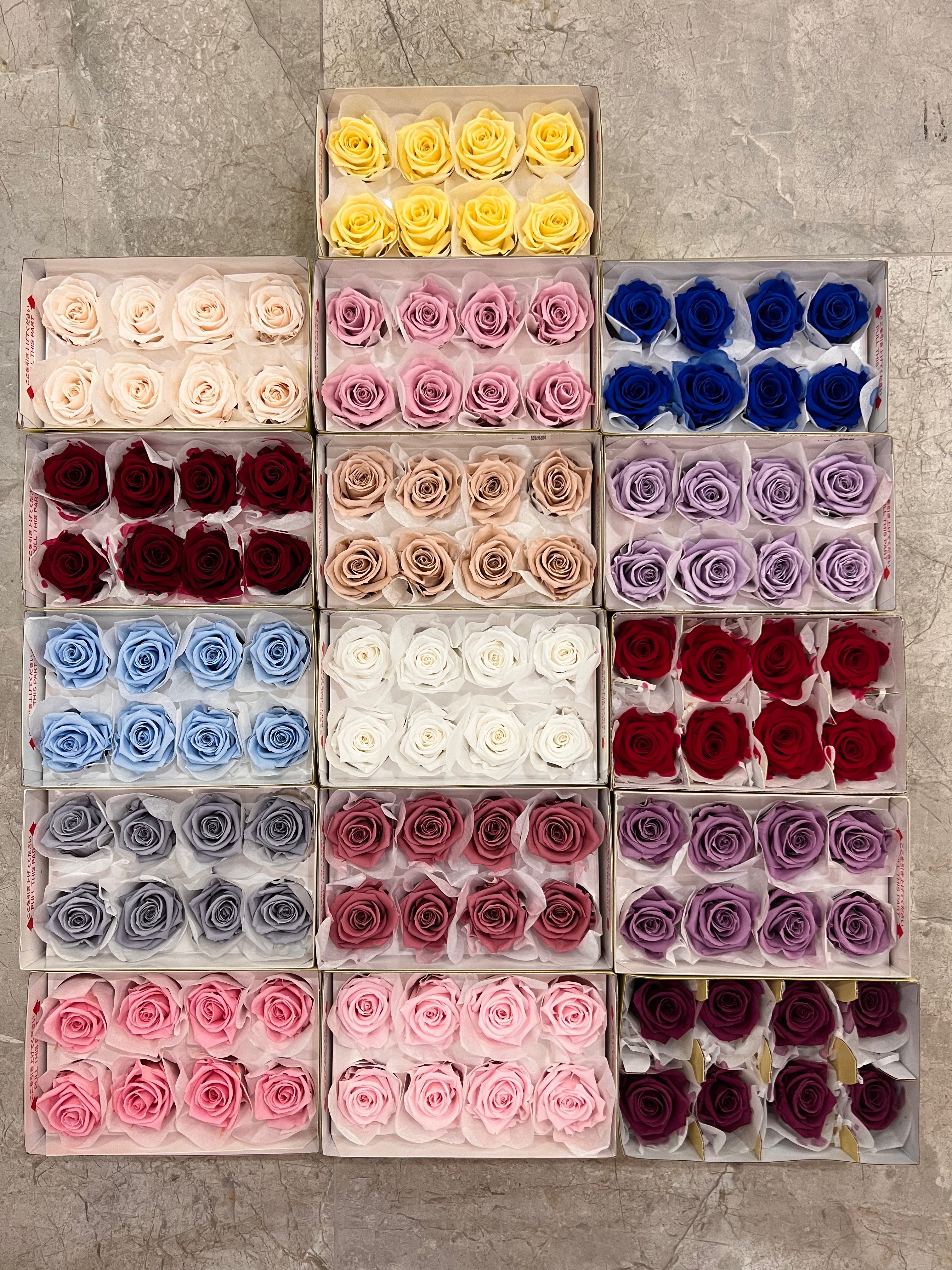 Florever-8輪（大）