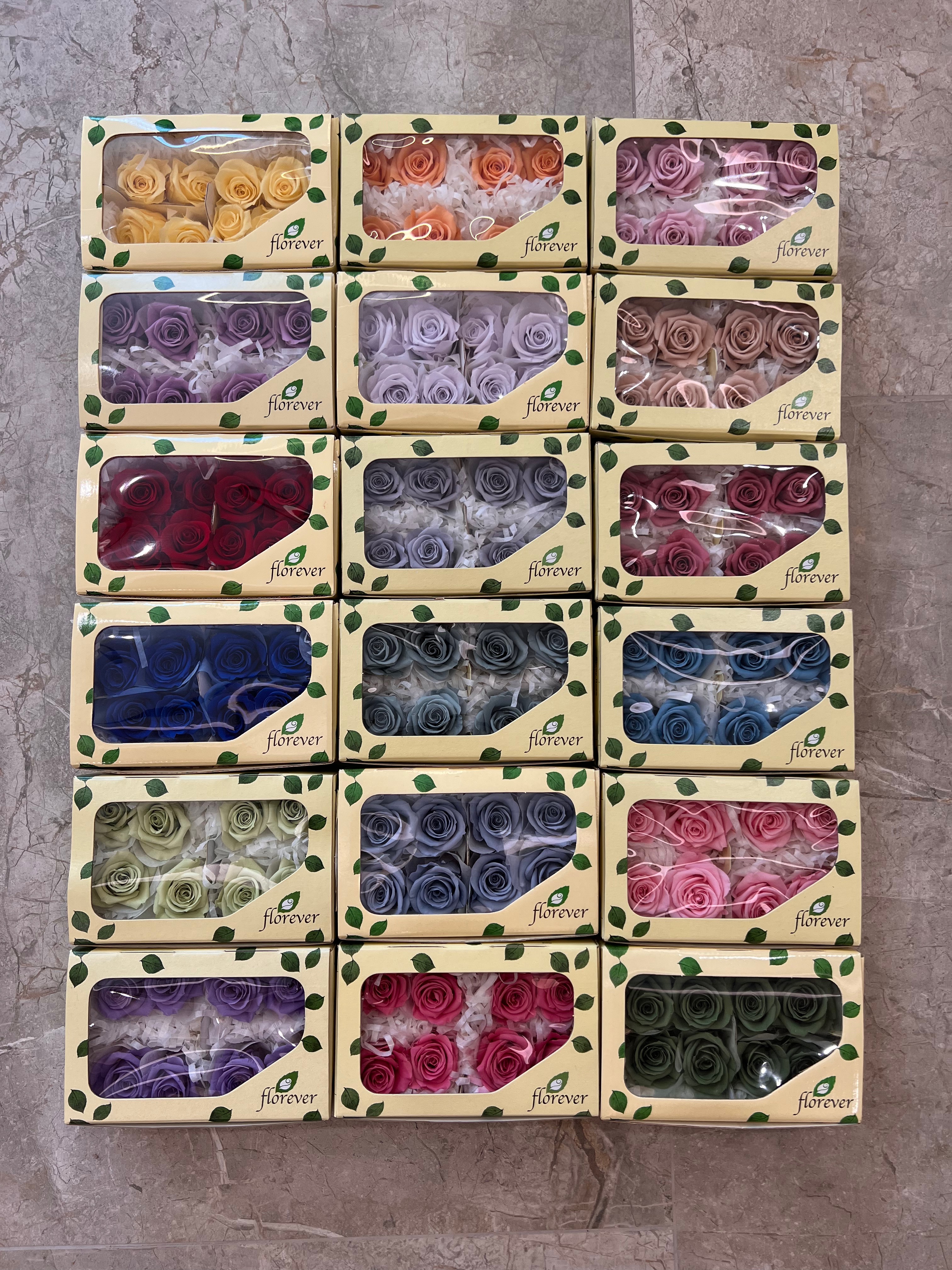 Florever-8輪（小）