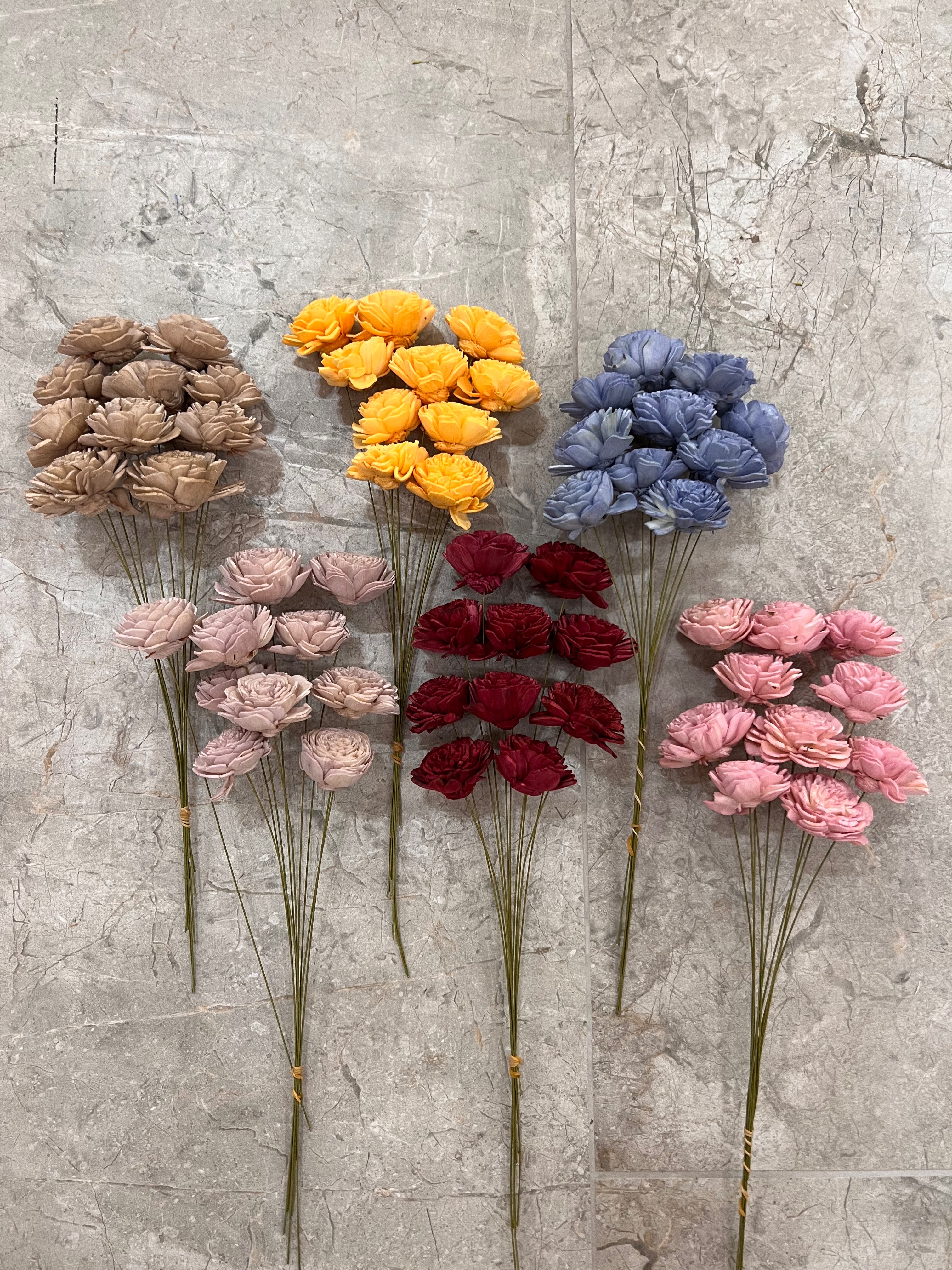 索拉玫瑰（小）