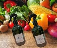 淨之泉-蔬果洗潔液