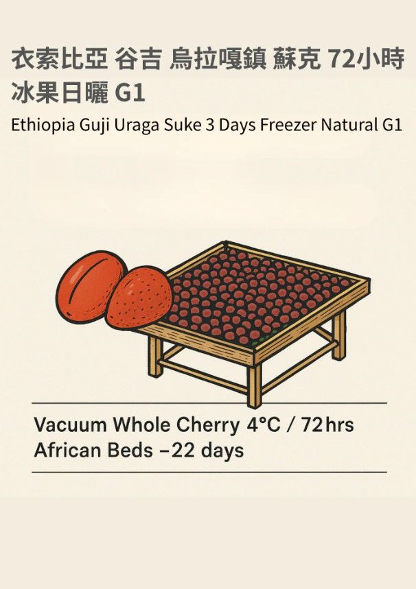 【特殊處理】【淺焙】【咖啡豆】200g