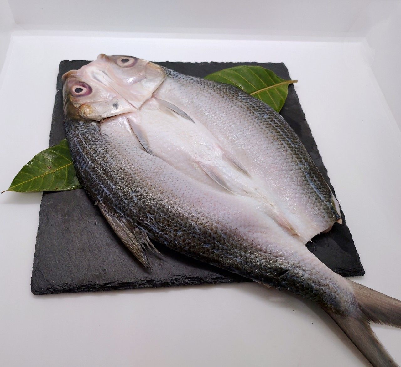 ＜鰻鰻專賣店＞🔥去刺虱目魚（整尾） 🔥去刺❗❗