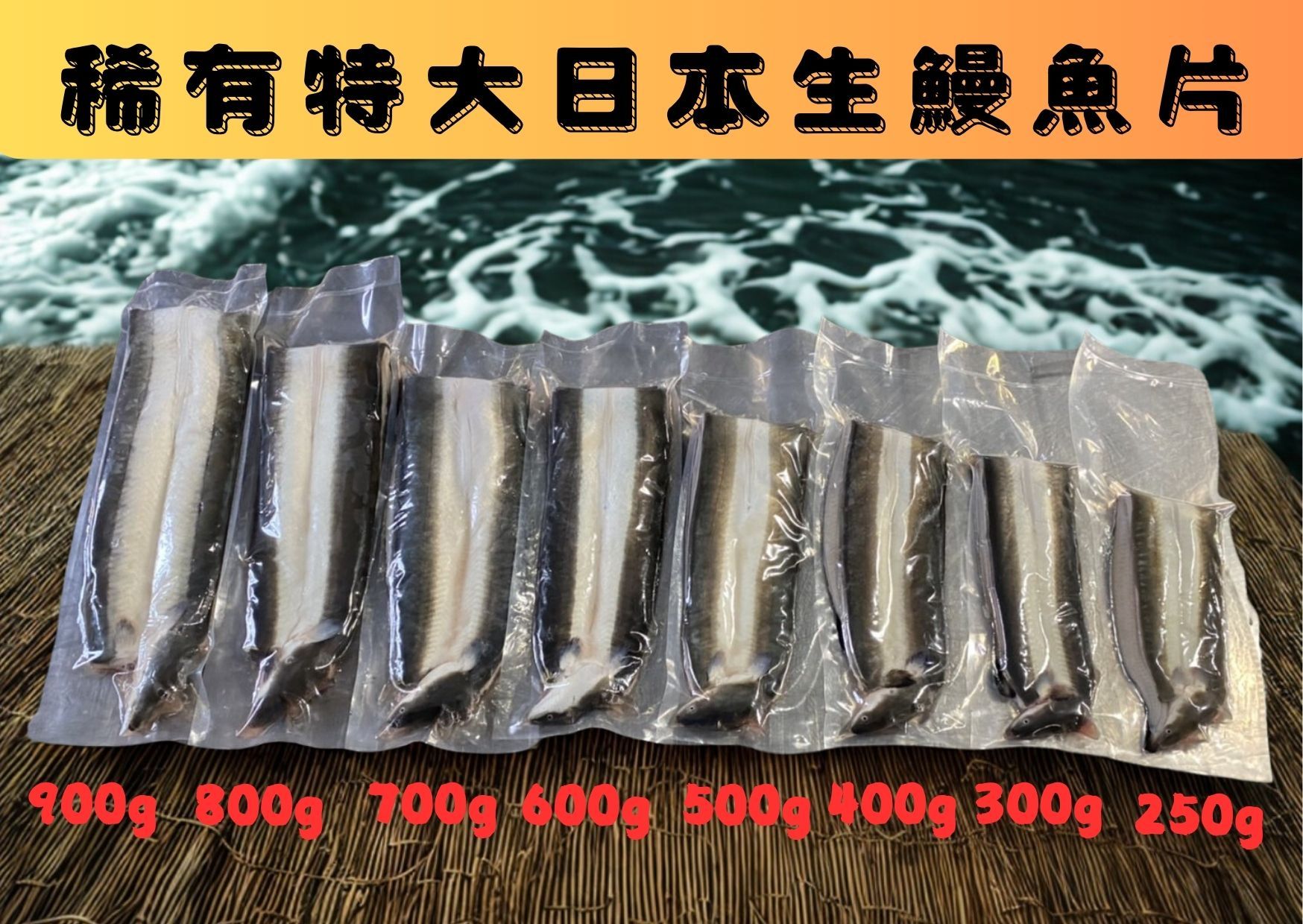 ＜鰻鰻專賣店＞🔥特大日本生鰻魚片🔥已去骨，去內臟❗❗🉐適合煎炒煮炸三杯🍴#生鰻#鰻魚真空生魚