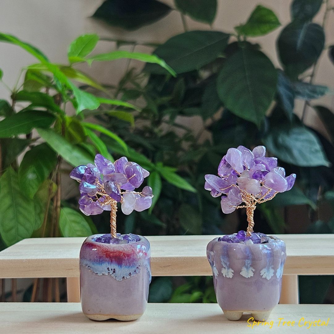 水晶樹|紫水晶