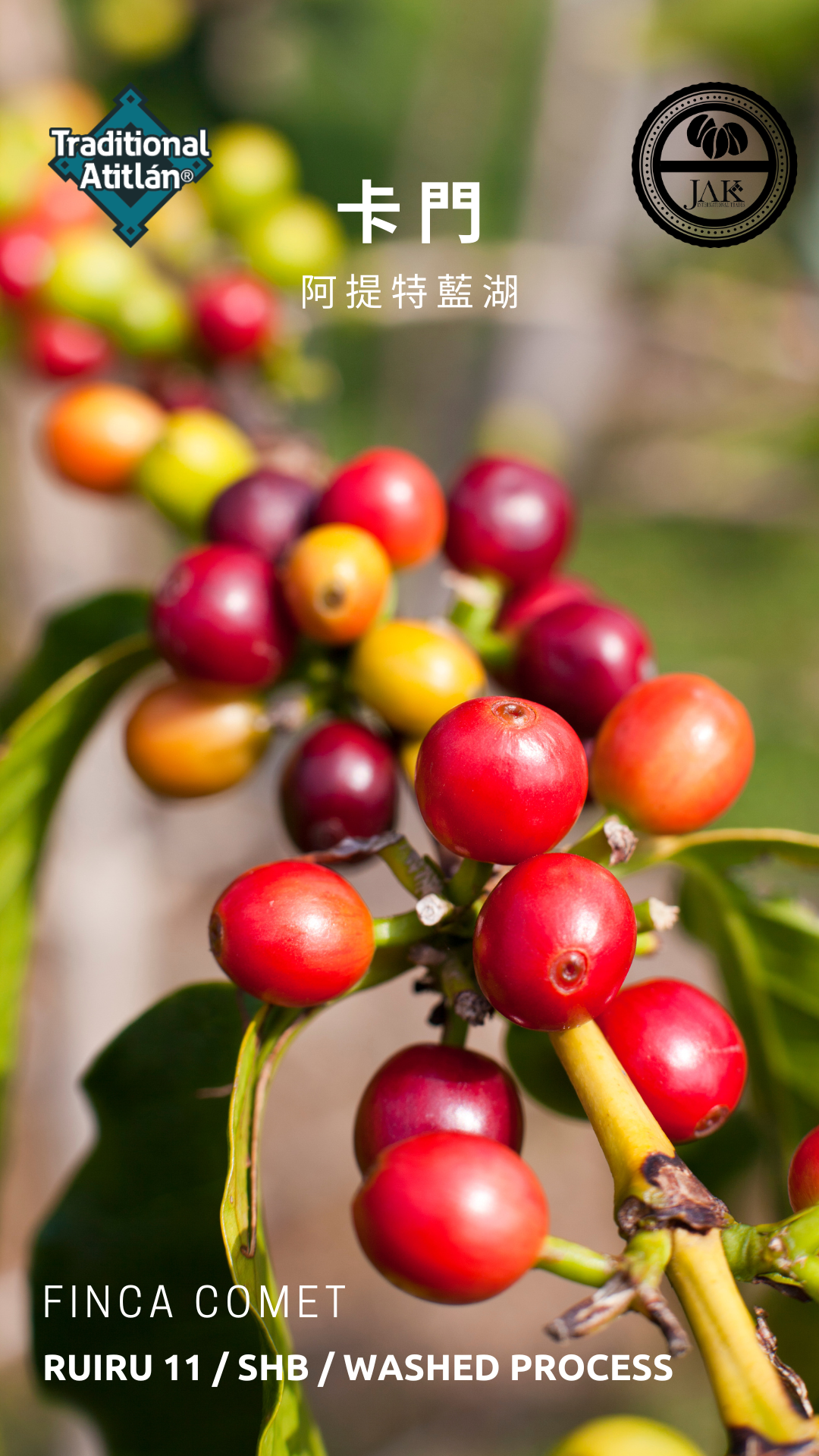 瓜地馬拉 阿提特藍湖 卡門