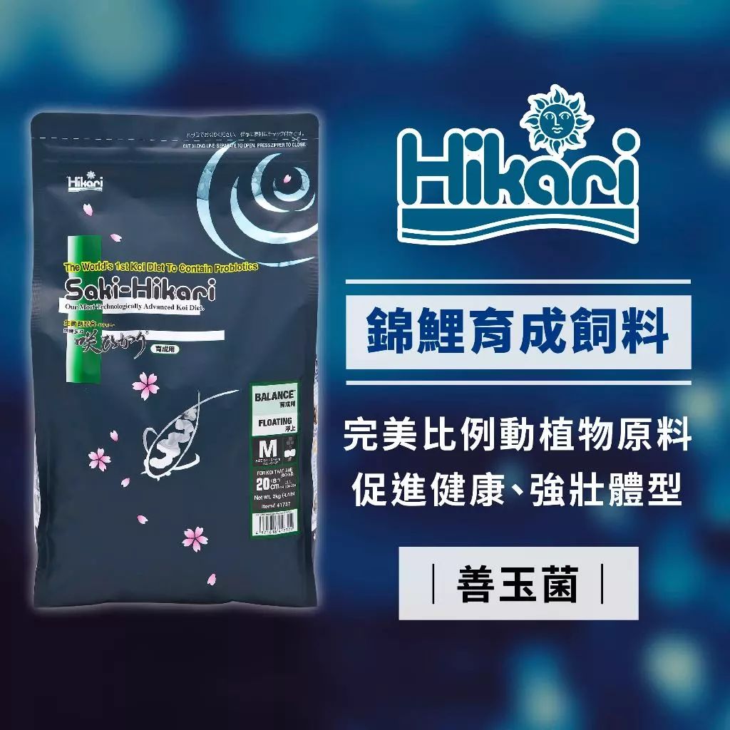Hikari 高夠力 Saki-Hikari 錦鯉育成飼料 浮水性 小公爺同款