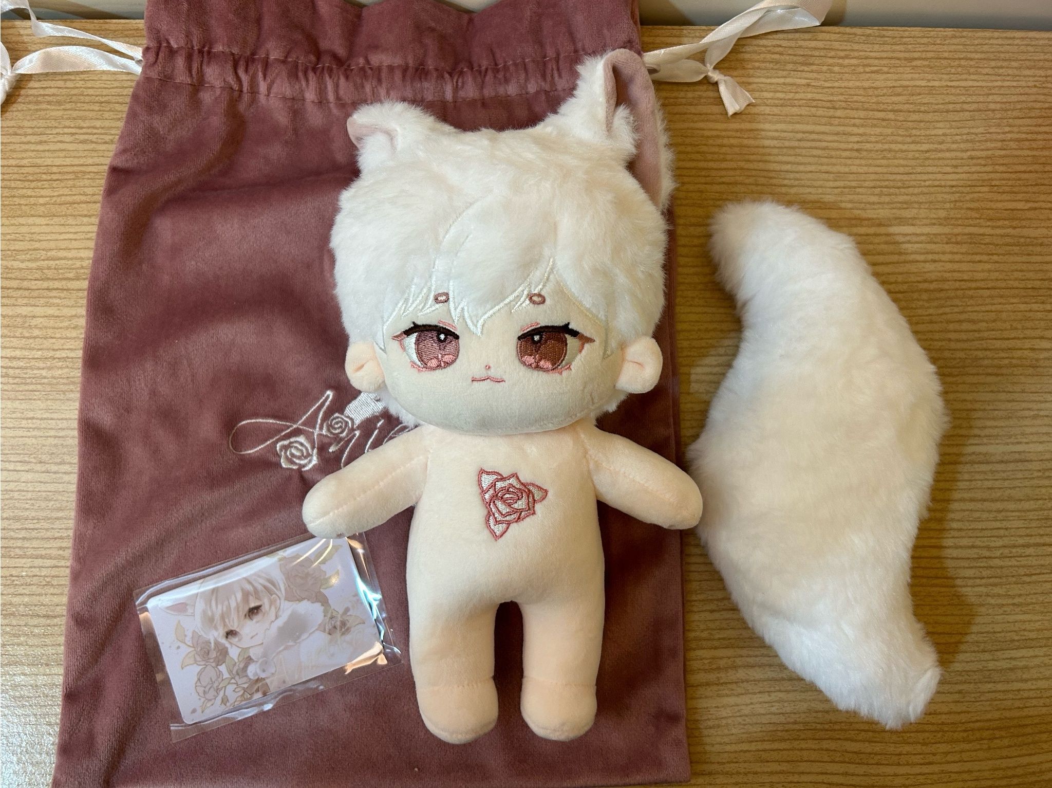 20cm Aniello （有特典）