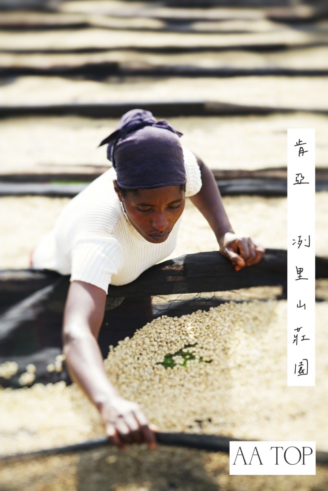 肯亞 冽里 冽里山莊園 AA TOP