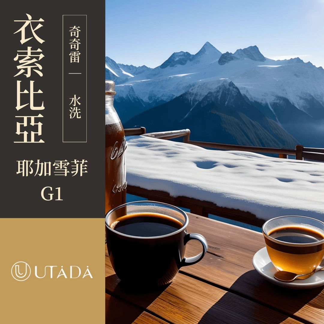 衣索比亞 耶珈雪啡 歌迪貝 沃卡 奇奇雷 水洗 G1