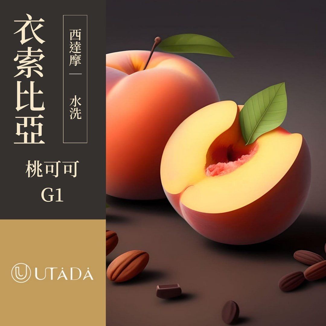 衣索比亞 西達摩 桃可可 水洗 G1