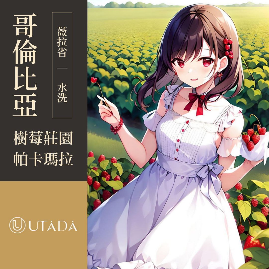 哥倫比亞 薇拉省 樹莓莊園 帕卡瑪拉 水洗