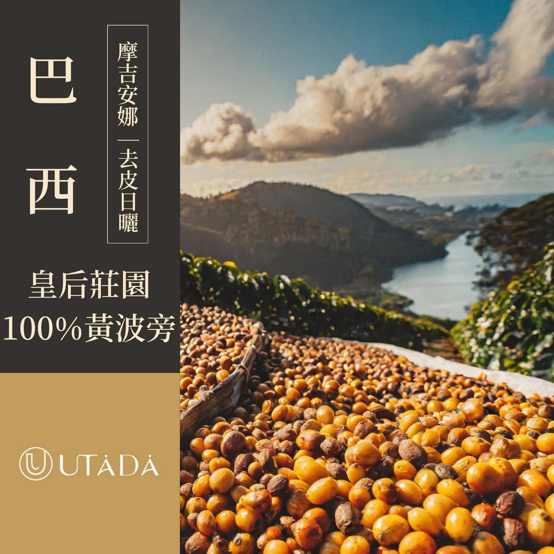 巴西 摩吉安娜產區 COE 冠軍 皇后莊園 100%黃波旁 去果皮日曬處理