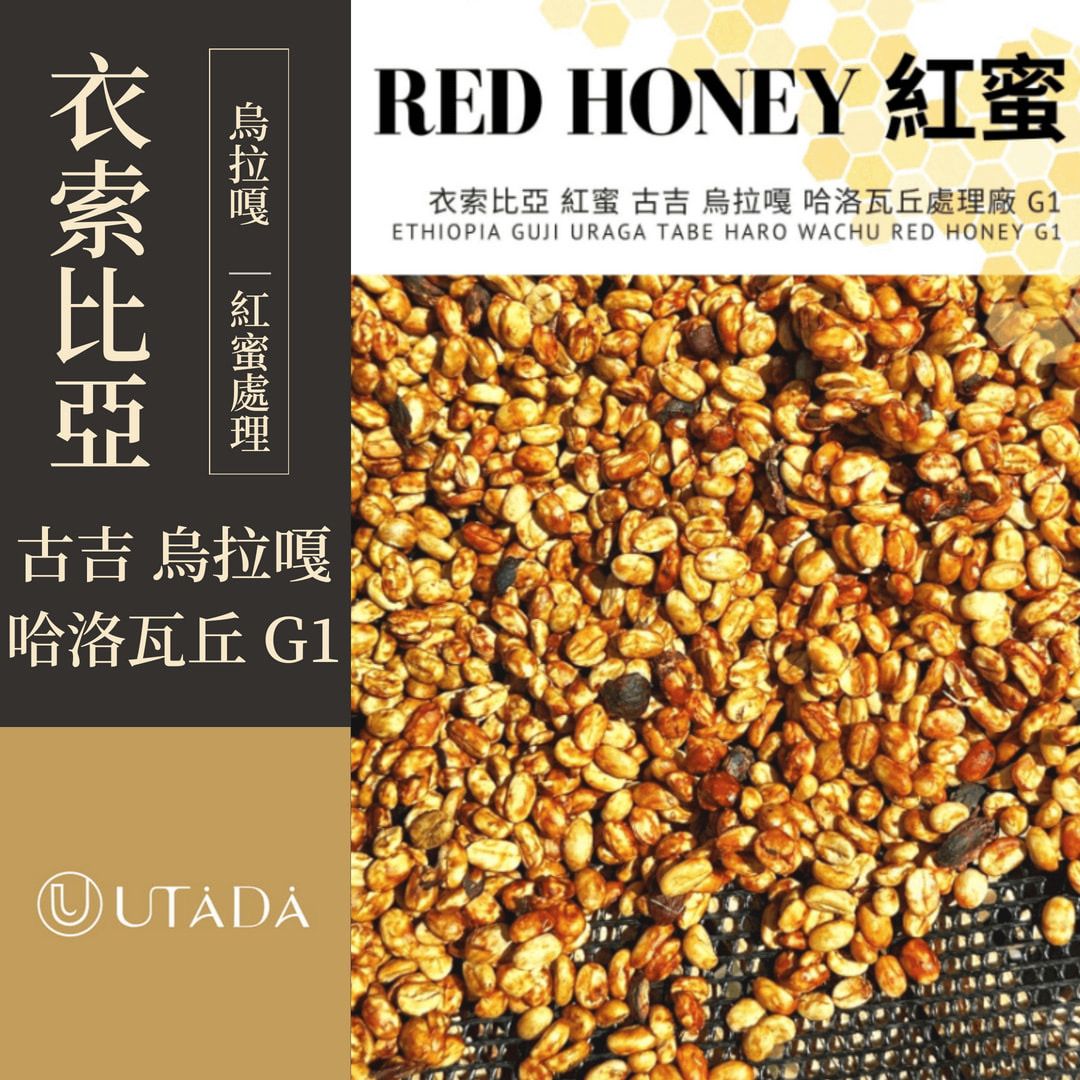 衣索比亞 烏拉嘎 哈洛瓦丘處理廠 紅蜜處理 G1