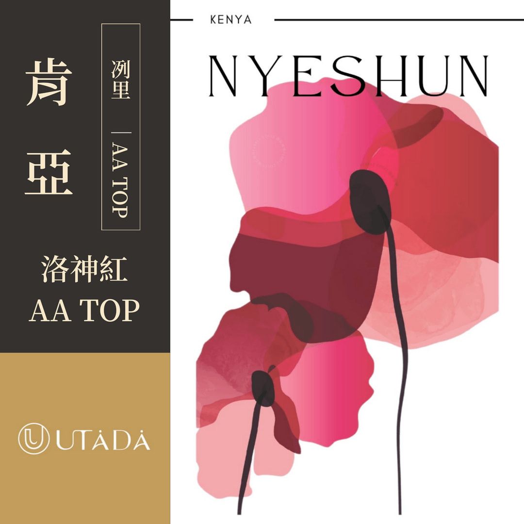 肯亞 冽里 洛神紅 AA TOP