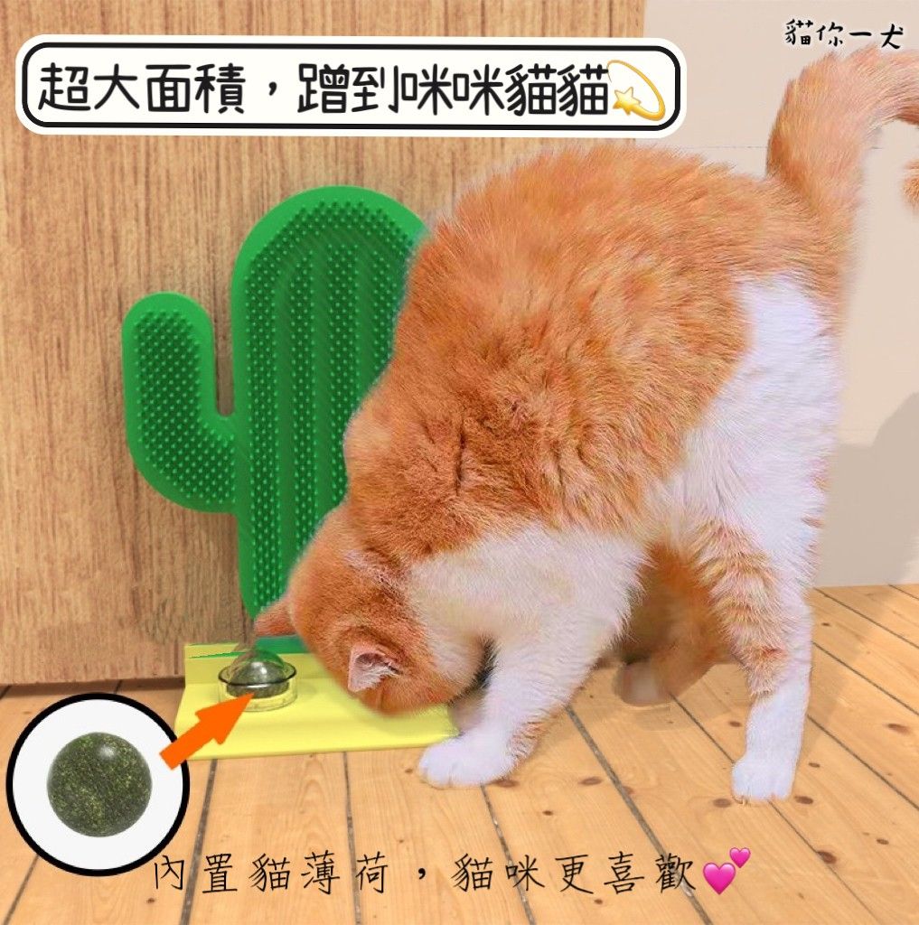 現貨002｜仙人掌造型抓板附貓薄薄荷