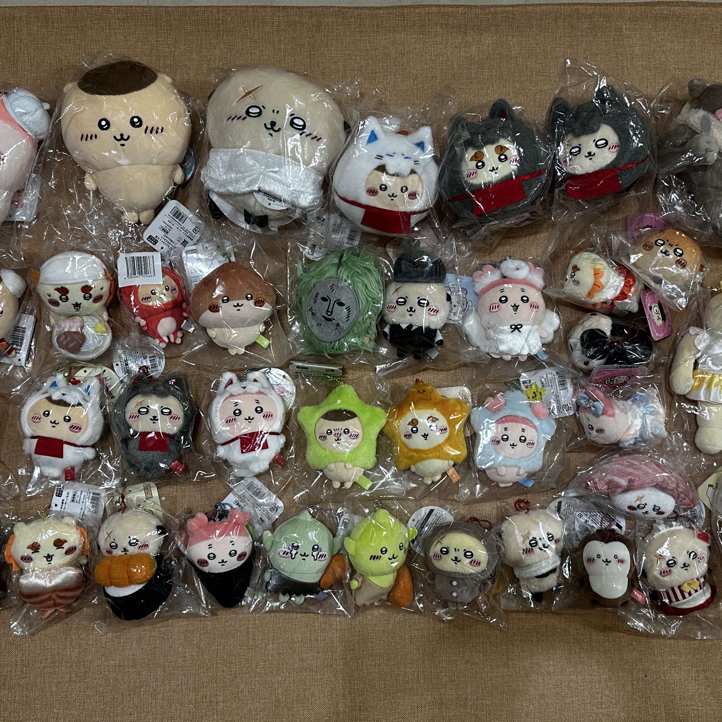 栗子/獅薩/海獺/古本/奇美拉 系列