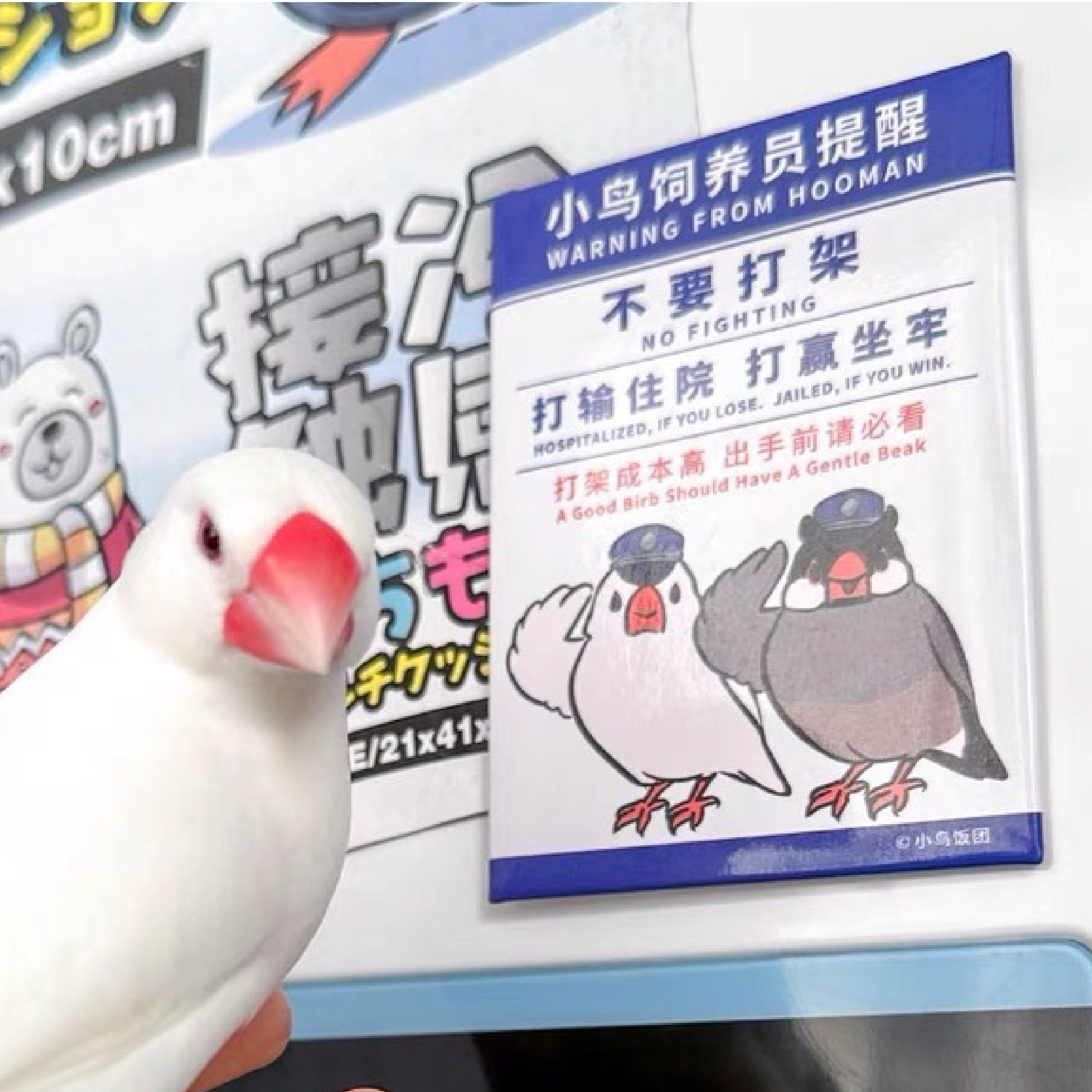 【小鳥飯糰】不要打架!文鳥警示語原創馬口鐵冰箱貼 @bunbunchu_